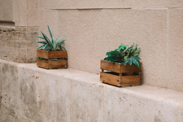 Transform Your Home with Beautiful Artificial Plants