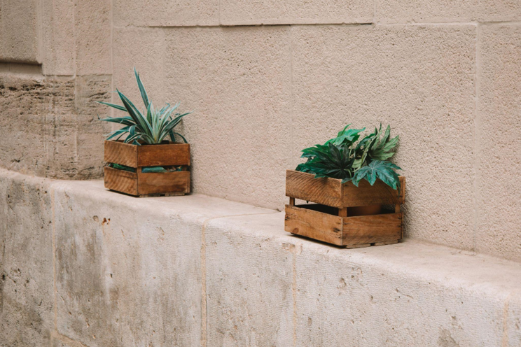 Transform Your Home with Beautiful Artificial Plants