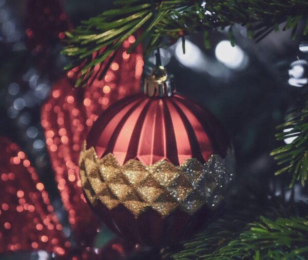 The Perfect Christmas Tree for Health & Holiday Cheer
